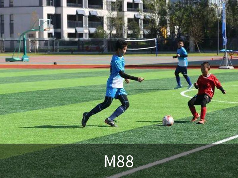M88概况